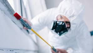 Best Pest Prevention Services  in Llano, TX